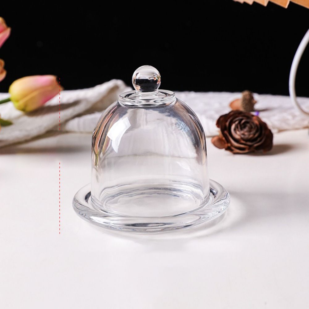 Cake Stand with Lid Cutting Bo - Home Cooking Recipes ulasan dan harga