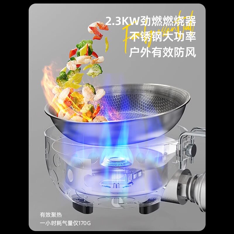 Outdoor Portable Cassette Stov - Home Cooking Fried Rice ulasan dan harga